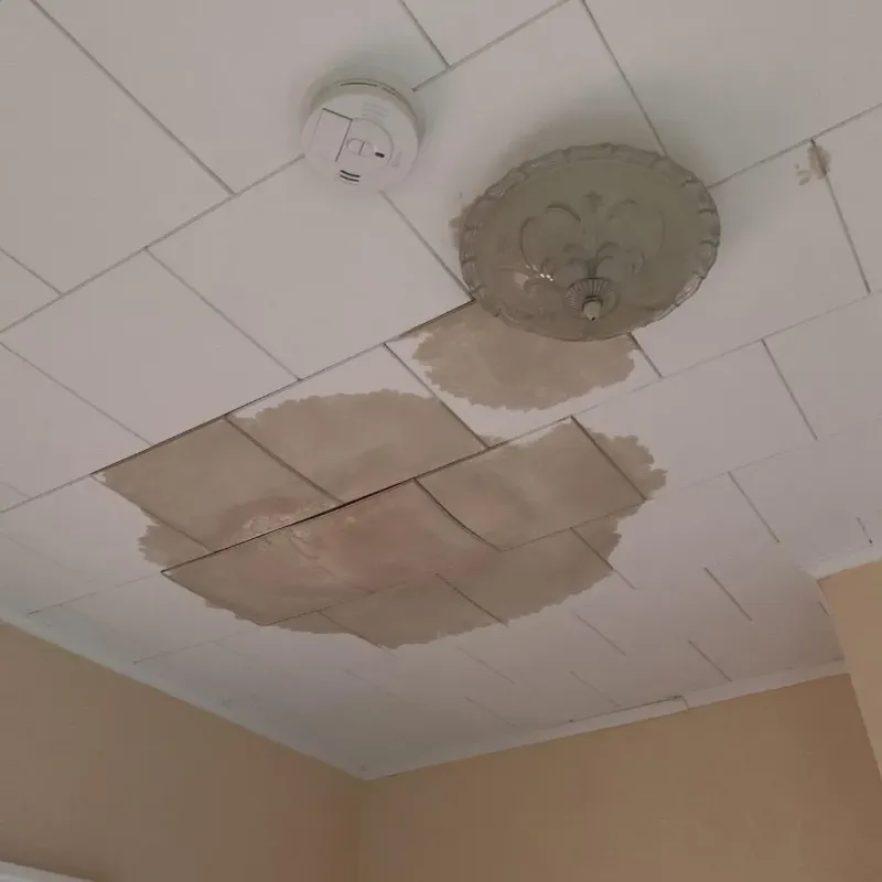 Ceiling Water Damage Repair in Lewisville, NC