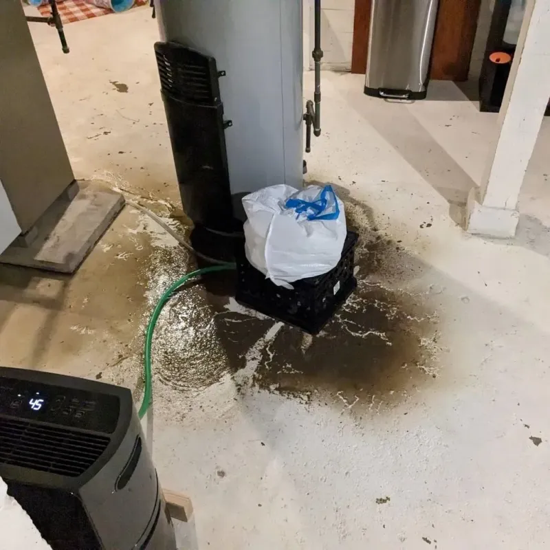 Sewage Backup Cleanup Service in Lewisville, NC